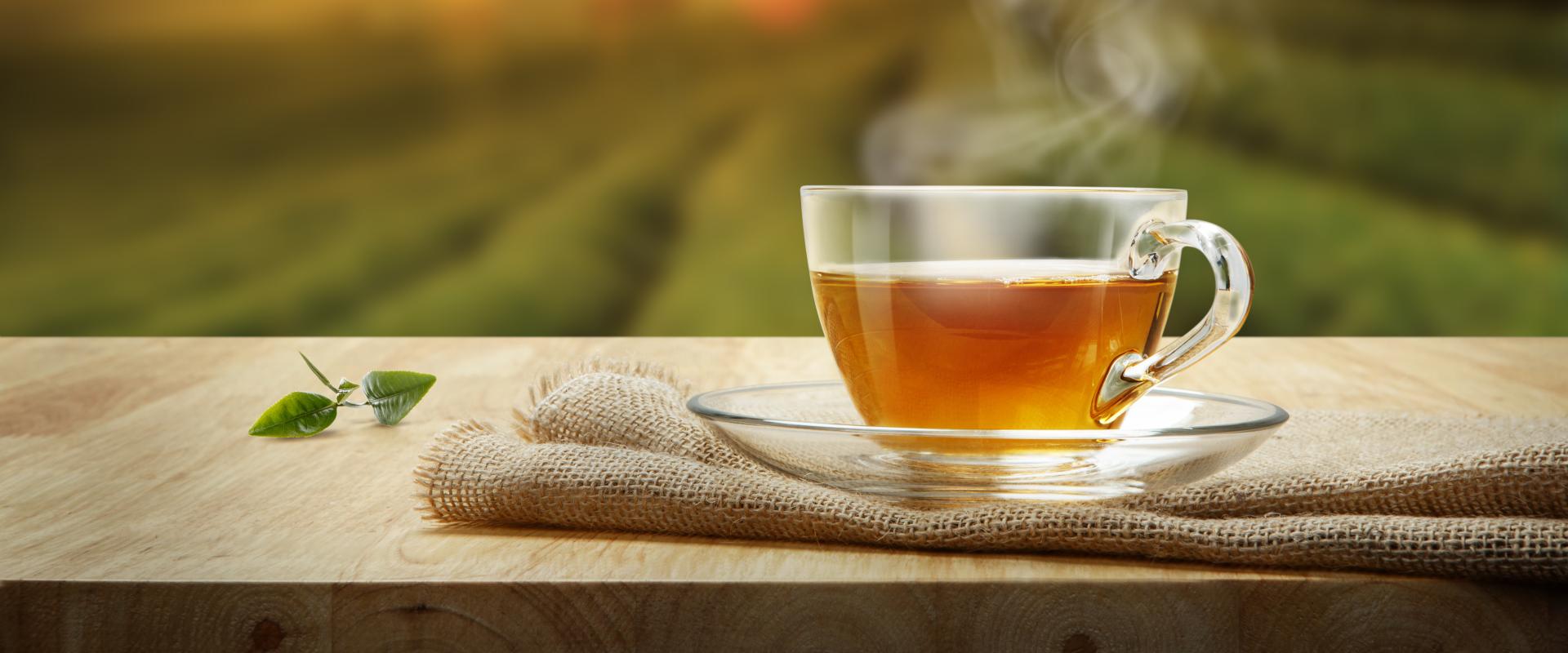 banner of Tea is Delicious But Also Has Many Benefits