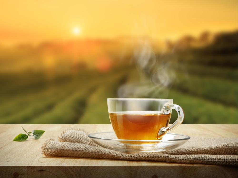 main of Tea is Delicious But Also Has Many Benefits